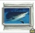 Witte haai -fotoschakel-
